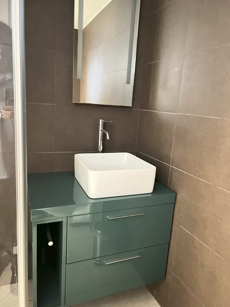 Realisation-vert-de-gris-christins-home-design-24 Vert de gris réalisation Christins Home Design